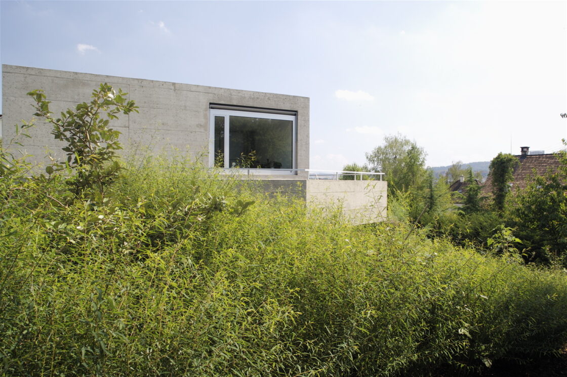 Neubau Doppeleinfamilienhaus Veltheim, Winterthur 20072008